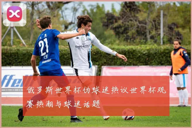 俄罗斯世界杯伪球迷热议世界杯观赛热潮与球迷话题