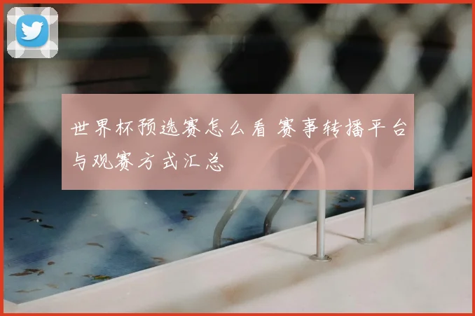 世界杯预选赛怎么看 赛事转播平台与观赛方式汇总