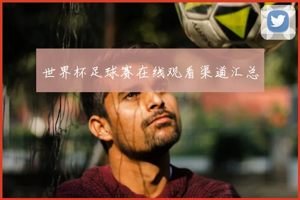 世界杯足球赛在线观看渠道汇总